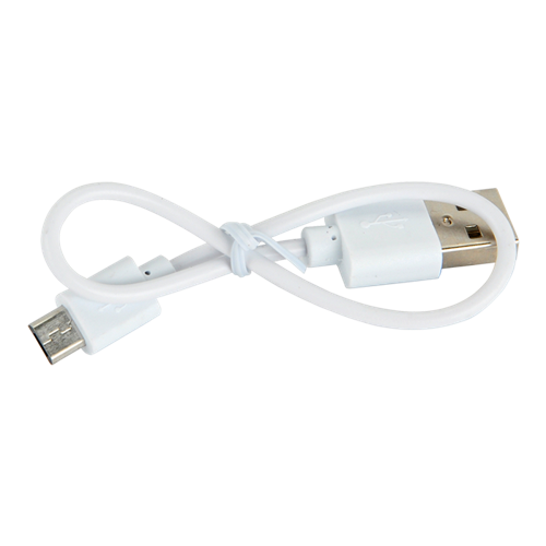 Plastic 2200 mAh Powerbank