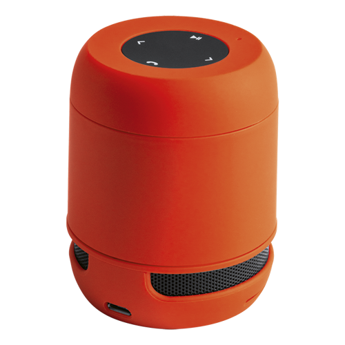 Braiss Bluetooth Speaker