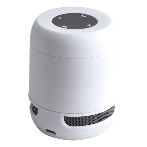 Braiss Bluetooth Speaker