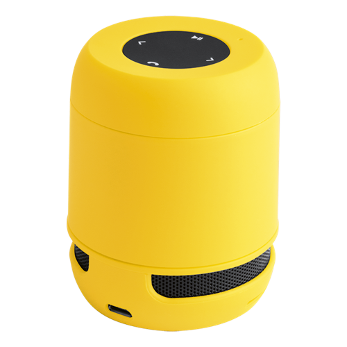 Braiss Bluetooth Speaker
