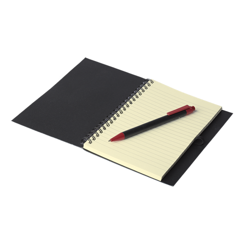 Coloured Stripe Notebook with Pen (GFT-07-FN)